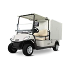 Mobil Golf Shuttle 2 Van Box Cargo 1