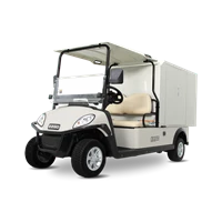 Mobil Golf Shuttle 2 Van Box Cargo